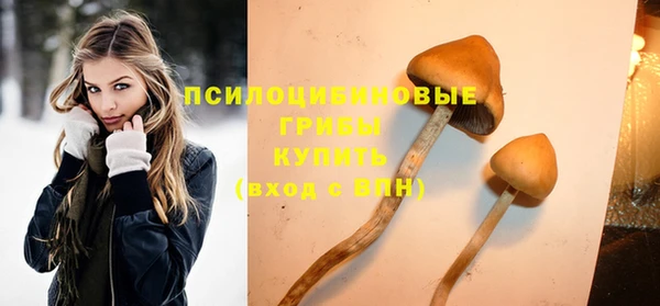 не бодяженный Аркадак