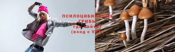 не бодяженный Аркадак