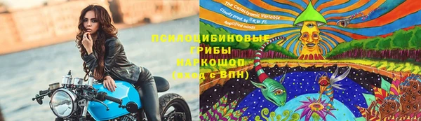 не бодяженный Аркадак