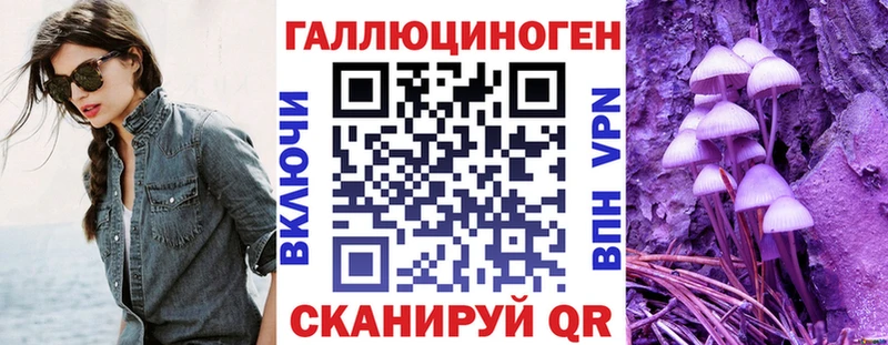 Купить где  Майский  Псилоцибиновые грибы GOLDEN TEACHER 